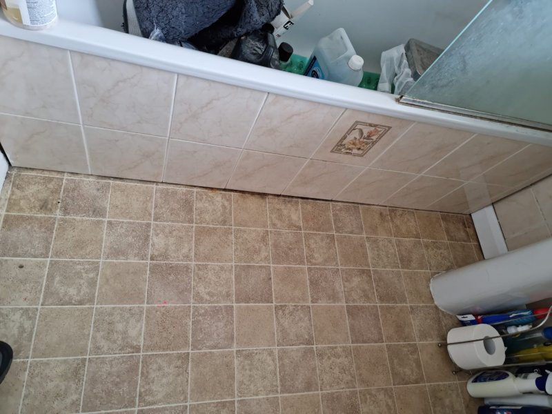 WhatsApp Image 2022-11-10 at 10.25.05.jpeg