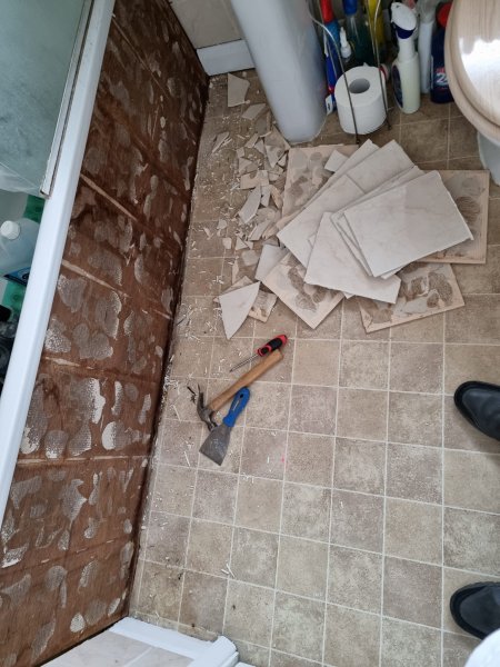 WhatsApp Image 2022-11-10 at 10.25.22.jpeg