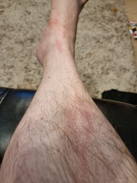 WhatsApp Image 2022-11-19 at 19.39.57.jpeg