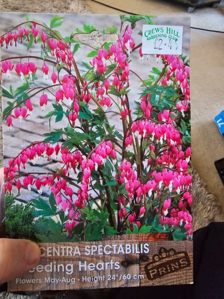 WhatsApp Image 2024-03-03 at 13.12.34_dd917daa.jpg