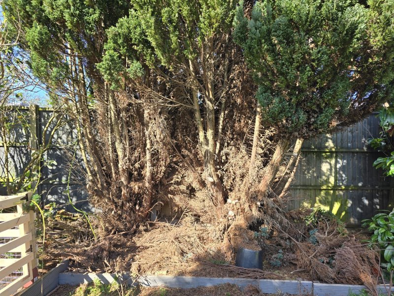 WhatsApp Image 2024-03-30 at 16.32.41_c7499e9e.jpg