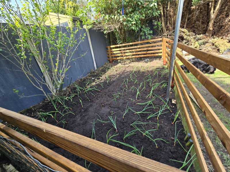 WhatsApp Image 2024-05-11 at 18.16.14_1d1a98ce.jpg