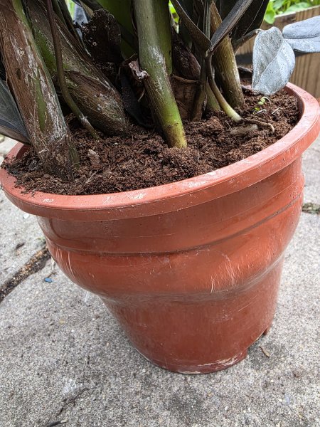 WhatsApp Image 2025-08-19 at 19.36.00_1158e6ec.jpg