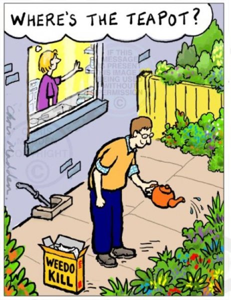 Where's the teapot.jpg