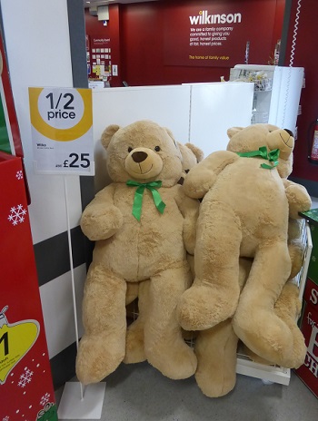 wilko teddy.jpg
