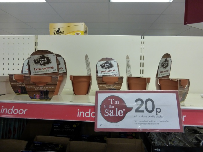 wilko Xmas herbs.jpg