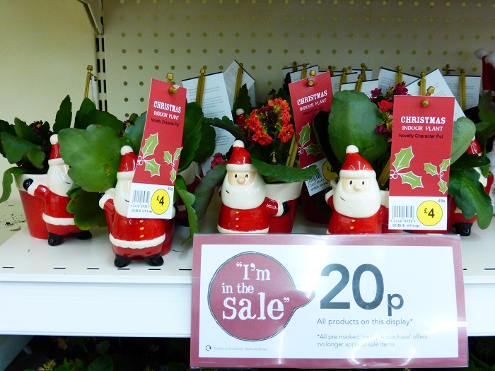 wilko Xmas Santa.jpg