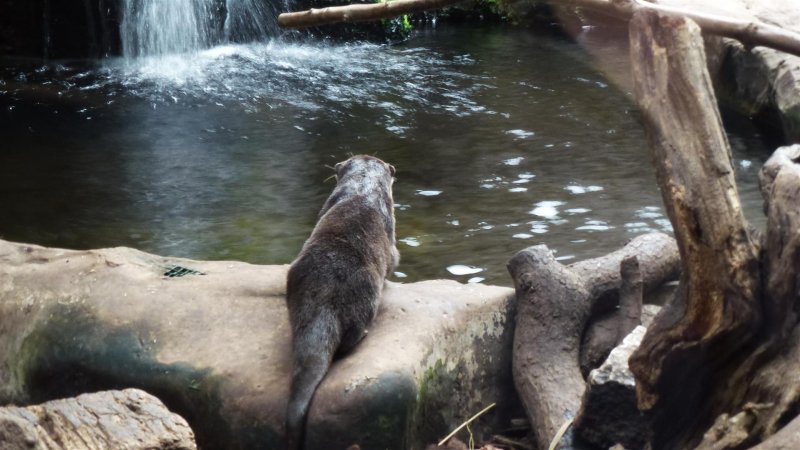 Windermere 009 (Large).JPG