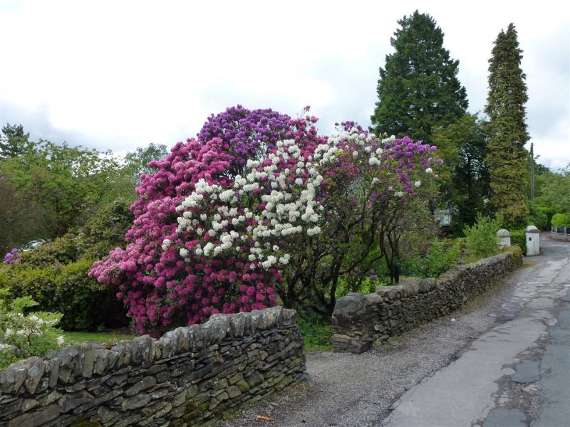 Windermere 060 (Large).JPG