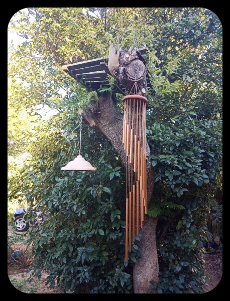 Winschime 15 Nov 21.jpg