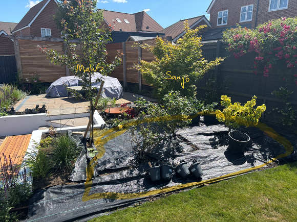 Woodland border Side close small.jpg