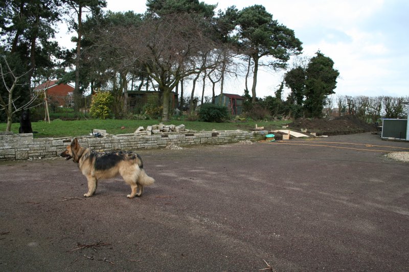 work in progress.jpg