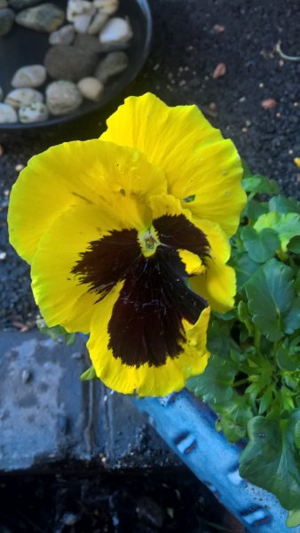 WP_20170120_14_59_56_Pro_LI (2).jpg