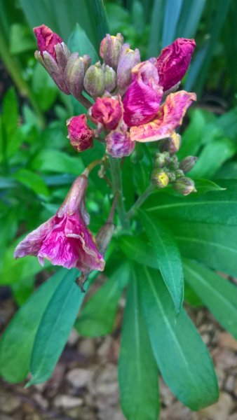 WP_20170207_14_20_00_Pro_LI (2).jpg