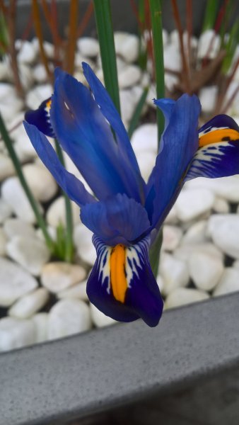 WP_20170219_12_07_42_Pro_LI (2).jpg