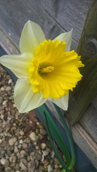 WP_20170319_14_52_05_Pro_LI (2).jpg