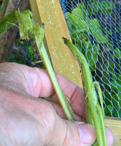 WP_20170630_06_49_08_Rich (2).jpg