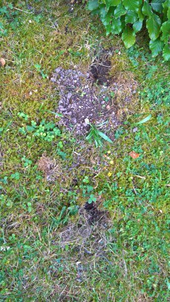 WP_20170630_06_49_42_Rich (2).jpg