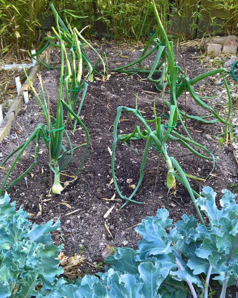 WP_20170704_06_50_12_Rich 1.jpg