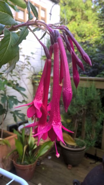 WP_20170824_18_46_01_Pro (1).jpg