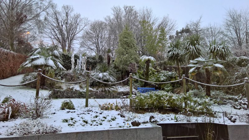 WP_20171227_08_04_00_Pro (2).jpg