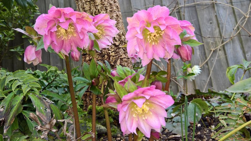 WP_20180305_14_23_48_Pro better.jpg