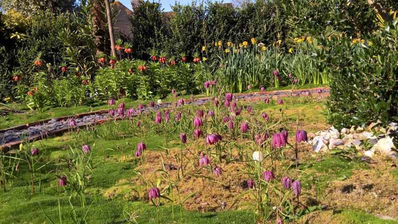 WP_20180418_16_08_15_Pro (2).jpg