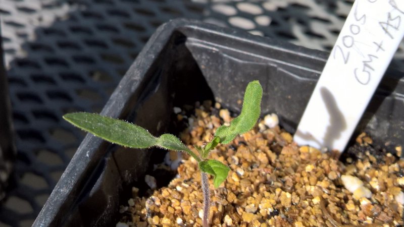 WP_20180518_09_25_44_Rich (2).jpg