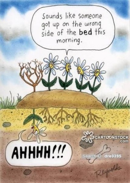 Wrong Side of Bed.jpg