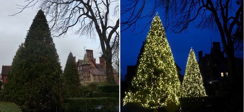 Xmas tree compare.jpg