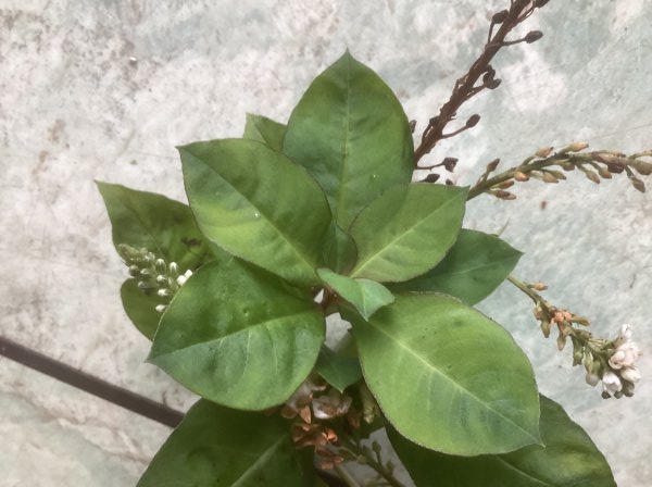 xxx 02-11-2025 13-07-52.jpeg