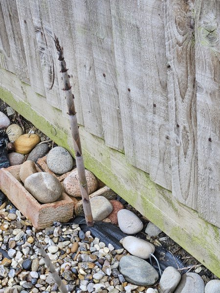 xxx 07-06-2025 09-28-34.jpg