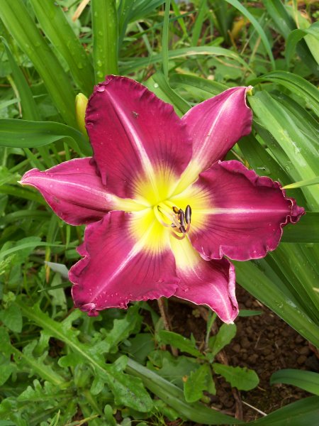 Yee Haw x Dark Wonder.JPG