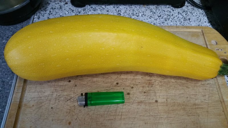 yellow  courgette.jpg