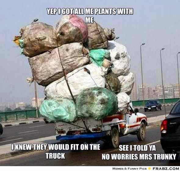 Yep-i-got-all-me-plants-with-me-I-knew-they-would-fit-on-the-tru-c6bcc7.jpg