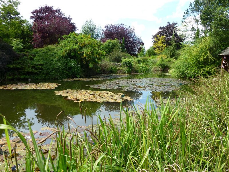 York and Windermere 060 (Large).JPG