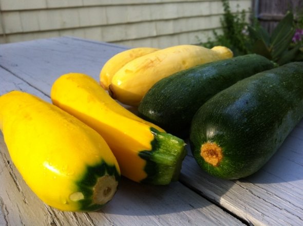 zucchini.jpg