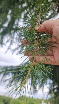 zzz 14-07-2025 17-33-55.jpg