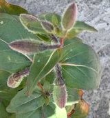 ZZZ 29-06-2025 17-09-21.jpeg