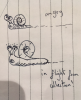 snailSketch.png