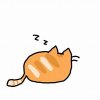 Cat zzz.jpeg