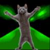 dancin'cat_tunnel-lime100x100.jpg