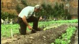 Victorian Kitchen Garden: July Part 2