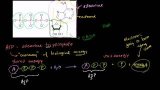 ATP: Adenosine Triphosphate