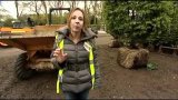 Build up to RHS Chelsea Flower Show 2012: Designer Jo Thompson