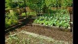 How To Be A Gardener 7 - The Productive Garden