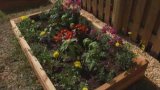 How to Build a Raised Flower or Garden Bed