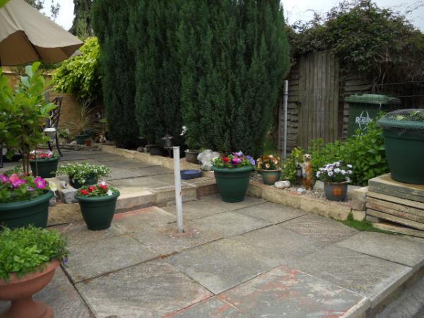 bottom half of garden