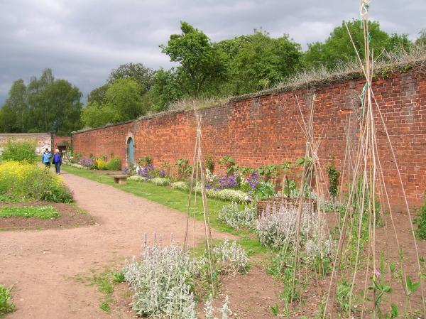 Shugborough Walled Garden II