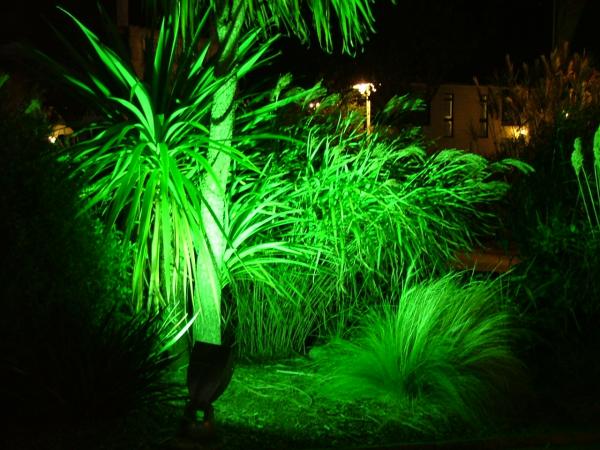 Garden Lighting